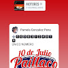 Desarmaduria 10 De Julio Paillaco Ltda