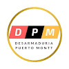 Desarmaduria Puerto Montt