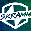 Servicio De Grua Automotriz Skramm