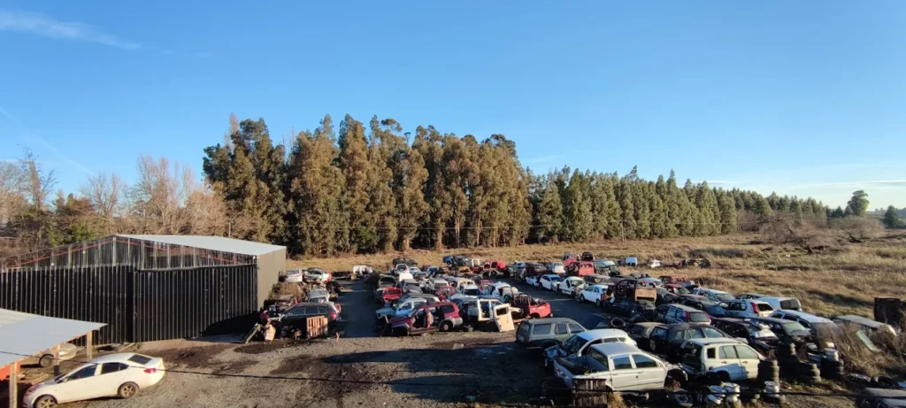 DESARMADURIA MUÑOZ LOS ÁNGELES.