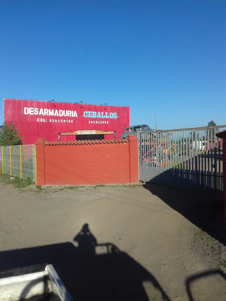 Desarmaduria Ceballos - Chillán